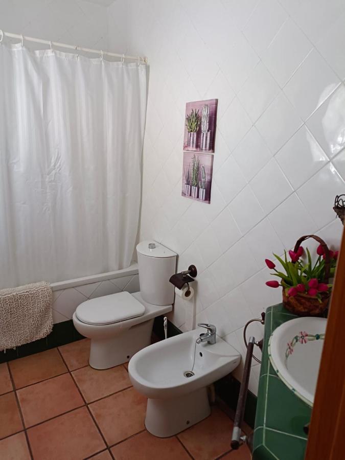 Chalet Trinquet Vinarós Extérieur photo